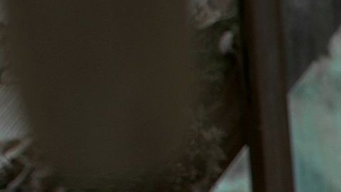 Sandra Bullock protagoniza "Bird Box" de Netflix