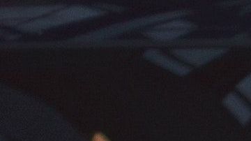 Son medidas para combatir los daños del Calentamiento Global