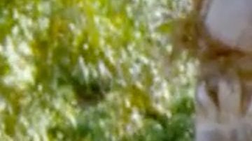 Chiquis Rivera y Lorenzo Méndez