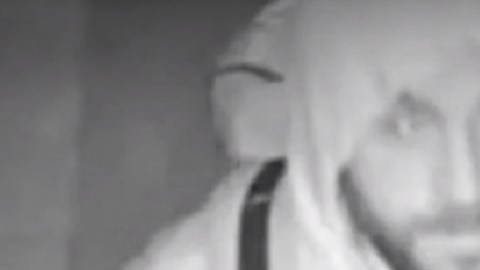 Damir Pejcinovic fue detenido en octubre de 2018.