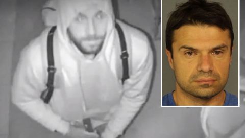Damir Pejcinovic fue detenido en octubre de 2018.