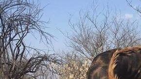 Tess Thompson Talley  ha vuelto a desatar la furia por una polémica foto.