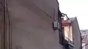 Un perro ayuda a salvar a su dueño indicando el camino a una ambulancia.