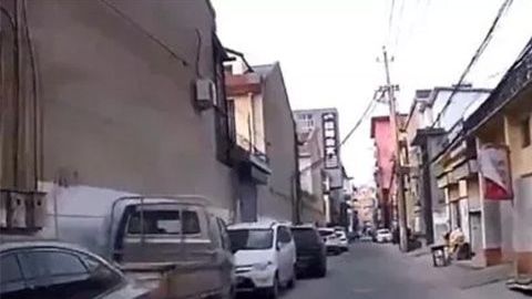 Un perro ayuda a salvar a su dueño indicando el camino a una ambulancia.