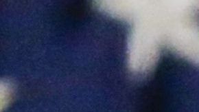 Trump celebró su segundo aniversario con un particular video en Twitter