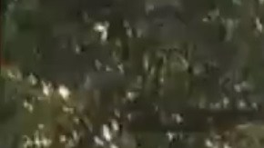 El presidente Trump descarta que México pague directamente por el muro.