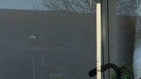 Mira bien y notarás algo particular en la exhibición del vestido.