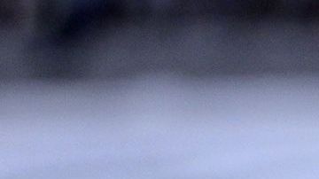 El delantero del América, Diego Lainez, está en la mira del Real Betis de España