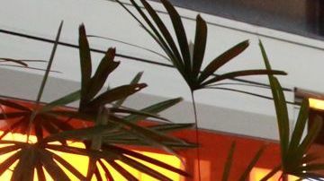 Andrés Manuel López Obrador.