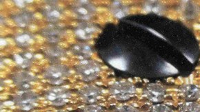 Pistola de oro y diamantes que supuestamente poseía “El Chapo”.