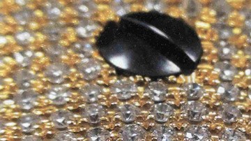 Pistola de oro y diamantes que supuestamente poseía “El Chapo”.