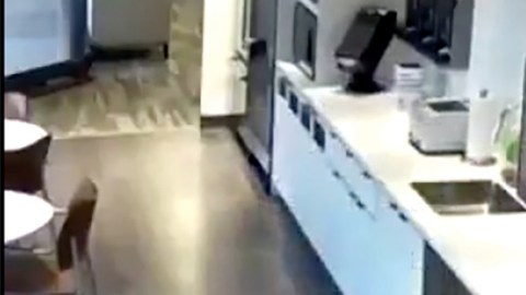 El fraude en video.