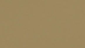 En su segundo año de gobierno Trump realizó 16.5 comentarios falsos al día