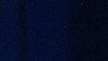 Roger Stone pagó fianza de 250.000 dólares. La fiscalía lo proceso por apoyo ruso a campaña de Trump