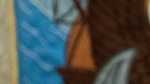 Los demócratas no deben caer en la trampa del Presidente Trump.