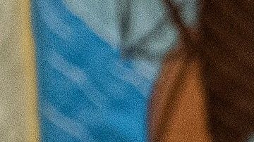 El presidente Trump critica a Pelosi por no avanzar en las negociaciones sobre el muro fronterizo.