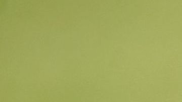 El Presidente había criticado antes a los servicios de inteligencia.