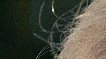 Truimp se reunirá en el Campo David con sus colaboradores.