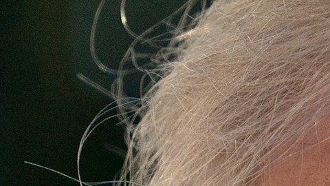 Truimp se reunirá en el Campo David con sus colaboradores.