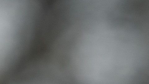 La actitud inamovible de Trump respecto a la construcción del muro y la negativa continua por parte de los demócratas para pactar sobre esta cuestión, ha llevado al Gobierno a estar parcialmente cerrado 17 días.