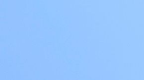 Trump contraataca a los informes de sus nexos con Rusia