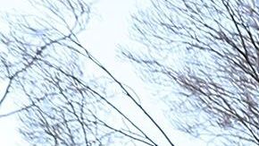 Trabajadores federales se concentraron hoy enfrente de la Casa Blanca para pedir a Trump que reabra la Administración.