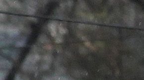 La imágen del 13 de enero pasado muestra una estación PEMEX cerrada durante crisis de desabasto de gasolina en México.