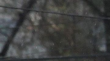 La imágen del 13 de enero pasado muestra una estación PEMEX cerrada durante crisis de desabasto de gasolina en México.