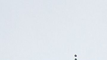 El orden de Marie Kondo ha causado furor entre las mujeres.