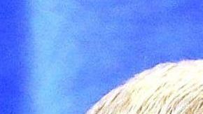 Vuelven a ventilarse la teorías de destitución de Trump y Pence