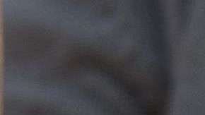 La pregunta sobre el estatus legal de residencia podría traer efectos negativos en las finanzas estatales.