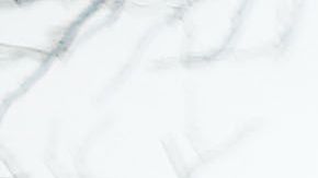 Este fin de semana, Trump propuso dar tres años más de protección para los jóvenes con DACA y personas con Estatus de Protección Temporal (TPS), a cambio de fondos para construir un muro en la frontera con México.