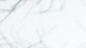 Este fin de semana, Trump propuso dar tres años más de protección para los jóvenes con DACA y personas con Estatus de Protección Temporal (TPS), a cambio de fondos para construir un muro en la frontera con México.