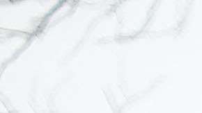 Los soñadores continúan su lucha incansable. Imágenes de una protesta el 22 de enero de 2018.