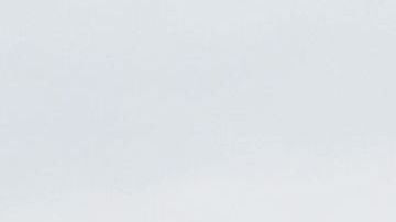 Trump no da su brazo a torcer en la construcción del muro fronterizo.