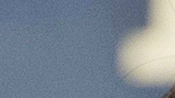 Las fotos en cuestión son de la Casa Blanca rodeada de nieve