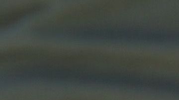 Un niño y un padre son detenidos por agentes de la Patrulla Fronteriza cerca de la frontera.