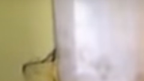 El video circuló en internet desde 2008, pero las autoridades lo integraron como prueba al juicio contra "El Chapo".