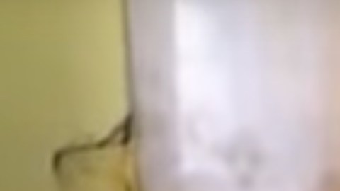 El video circuló en internet desde 2008, pero las autoridades lo integraron como prueba al juicio contra "El Chapo".