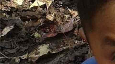 Felipe Gómez Alonzo, de 8 años, era oriundo de la aldea Yalambojoch.