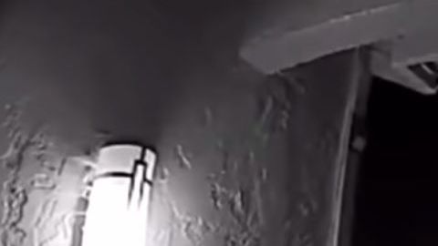 Las imágenes fueron capturadas por una de seguridad doméstica.