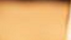 ICE destaca su labor para la seguridad nacional.