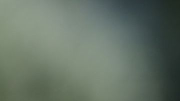 Hirving Lozano estaría en la mira del Arsenal de la Premier League de Inglaterra