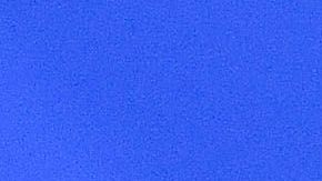 Javier "Chicharito" Hernández es pretendido por el Valencia y el AS Monaco