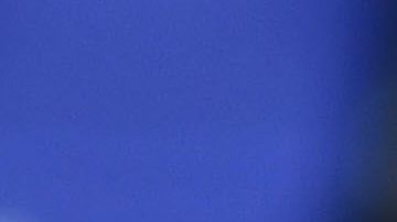 Javier "Chicharito" Hernández no será fichado por el Valencia como se especuló en un principio