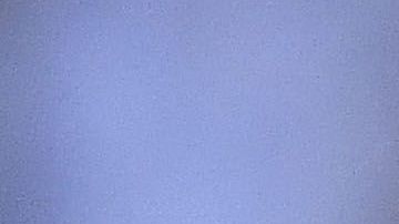 Miguel Layún estaría a unas horas de ser anunciado como nuevo jugador de Rayados de Monterrey