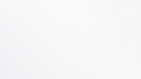 Sergio Pérez fue el invitado especial en el juego entre Venados de Yucatán y Charros de Jalisco