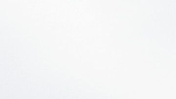 Sergio Pérez fue el invitado especial en el juego entre Venados de Yucatán y Charros de Jalisco