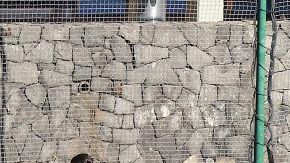 Jugadores del Cruz Azul, entrenan de cara a la jornada 5 del torneo Clausura 2019 de la Liga MX.