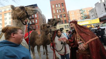 La parada de los Reyes Magos. Conmemorando los 42 años que El Museo celebra con niños de los colegios nuyorquinos, políticos, artistas y camellos marchando por El Barrio.